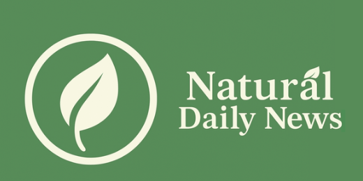 visionhealthandwellness.online